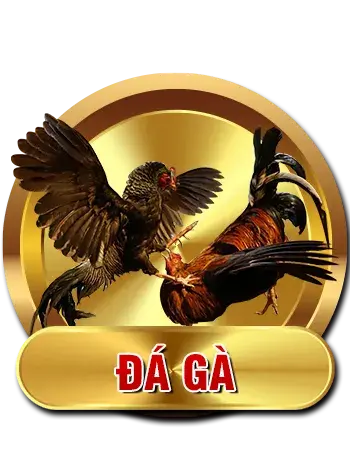 cock_lk68