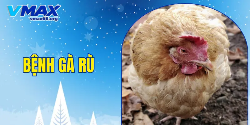 bệnh gà rù