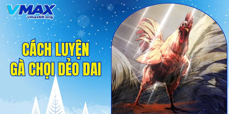 cách luyện gà chọi dẻo dai