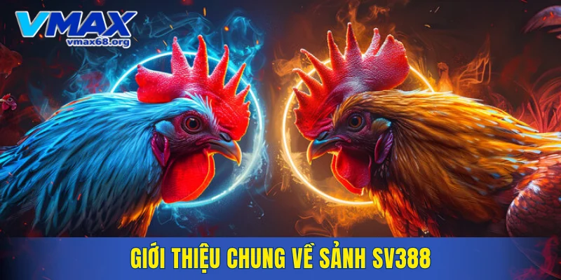 Giới thiệu chung về sảnh SV388