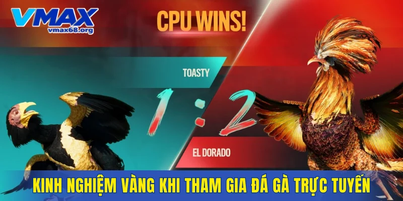 Bỏ túi những kinh nghiệm vàng khi tham gia đá gà trực tuyến