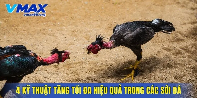 4 kỹ thuật tăng tối đa hiệu quả trong các sới đá