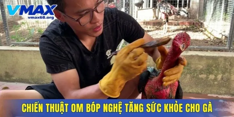 Chiến thuật om bóp nghệ tăng sức khỏe cho gà