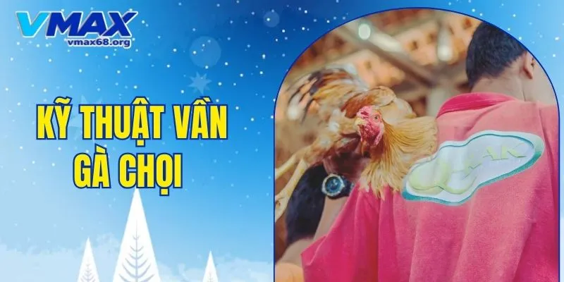 kỹ thuật vần gà chọi