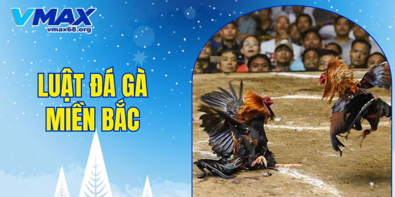 luật đá gà miền Bắc