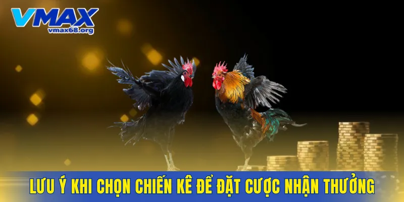 Lưu ý khi chọn chiến kê để đặt cược nhận thưởng