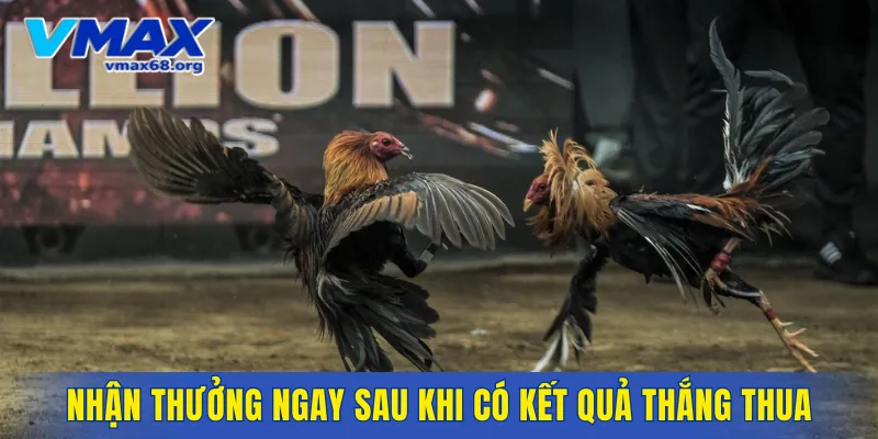 Nhận thưởng ngay sau khi có kết quả thắng thua