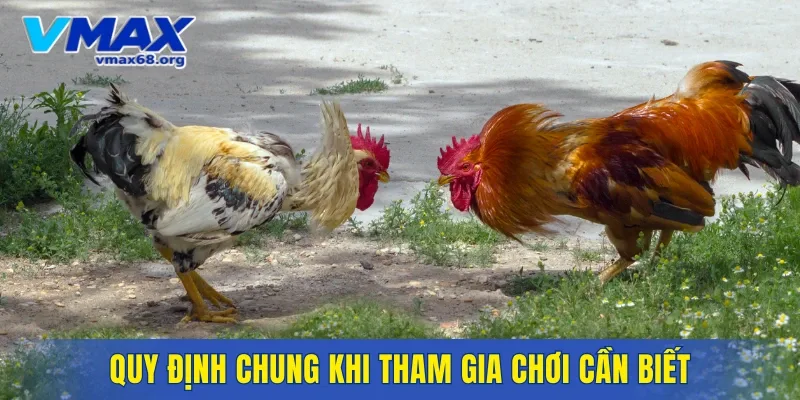 Quy định chung khi tham gia chơi cần biết