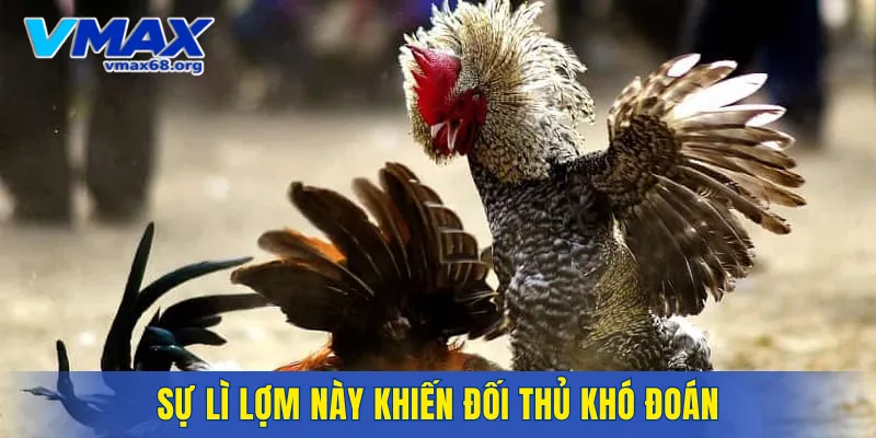 Sự lì lợm này khiến đối thủ khó đoán