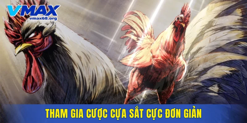Tham gia cược cựa sắt cực đơn giản