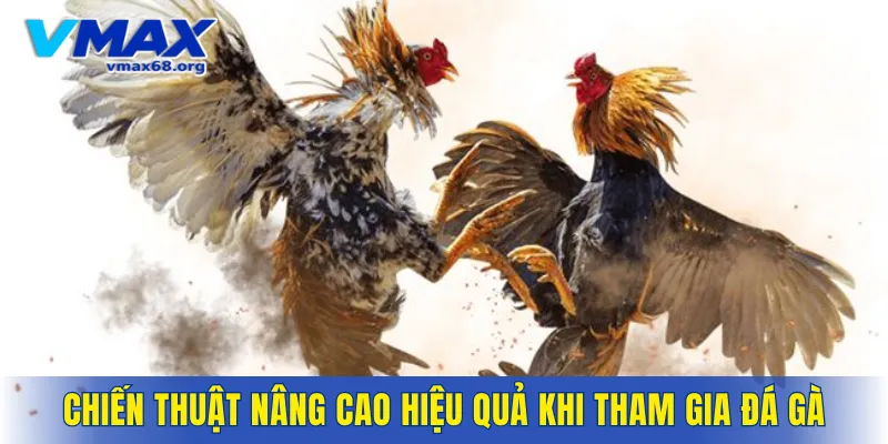 Từ đó sẽ nâng cao hiệu quả khi tham gia đá gà