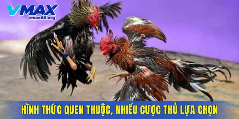 Hình thức quen thuộc, nhiều cược thủ lựa chọn